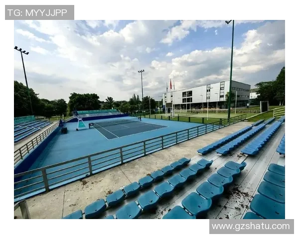 成都网球队运营模式解析与发展策略探讨